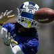 Illustration for article titled Why Would Todd Gurley Need Preseason, Anyway?